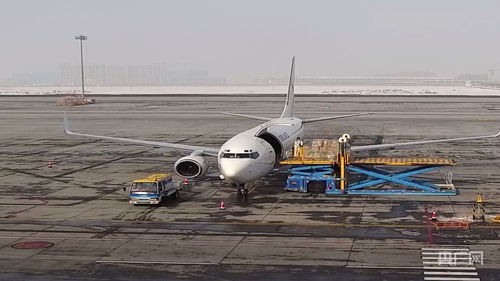新疆國際貨運包機業務全面恢復，為國際物流注入新動能