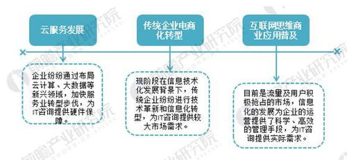 2018年IT咨詢行業(yè)現(xiàn)狀分析 市場促進(jìn)下國內(nèi)企業(yè)數(shù)字化轉(zhuǎn)型需求旺盛